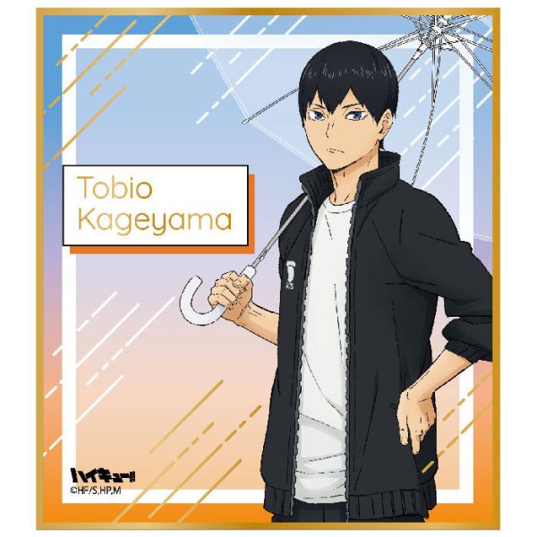 Haikyuu!! Rain Ver. Shikishi Tobio Kageyama Im Angebot